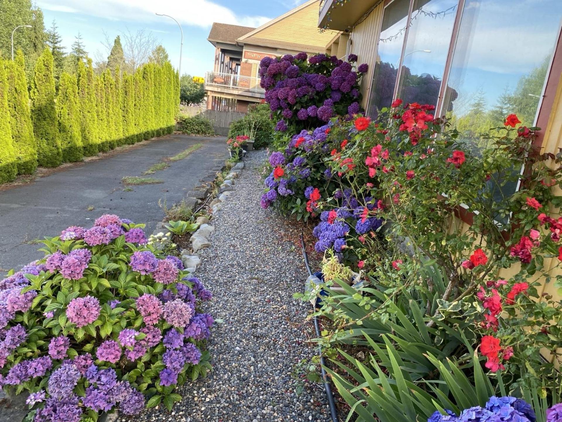 Holiday House Motel レディスミス エクステリア 写真